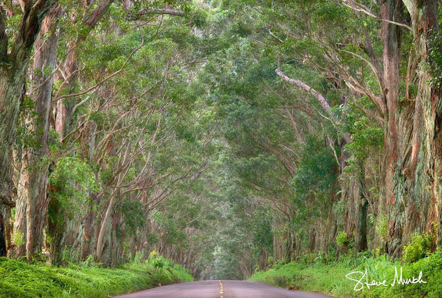 🏞️ 롯카테이 아트 빌리지 나카사츠나이 미술 마을(롯카테이 아토비렛지 나카사츠나이 비주쓰무라) 이미지 6